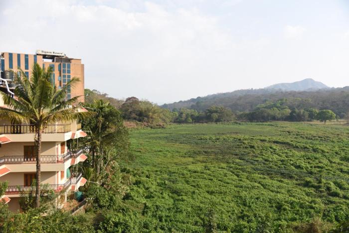 jungle palace homestay