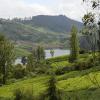 ooty