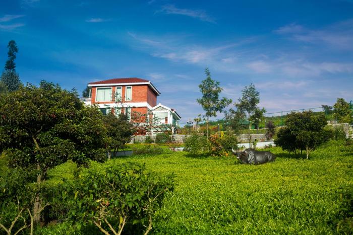 ooty