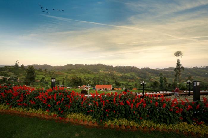 ooty