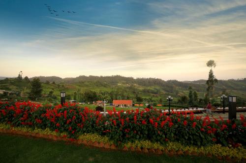 ooty