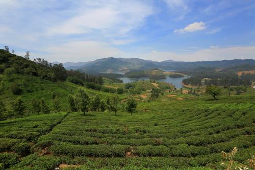 ooty