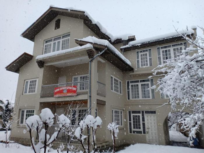 snow leopard lodge