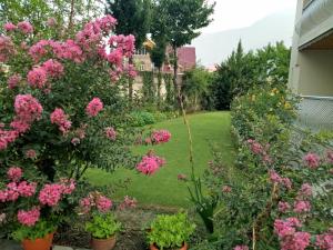 snow leopard lodge