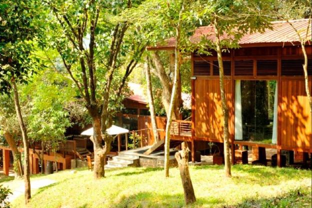 coorg