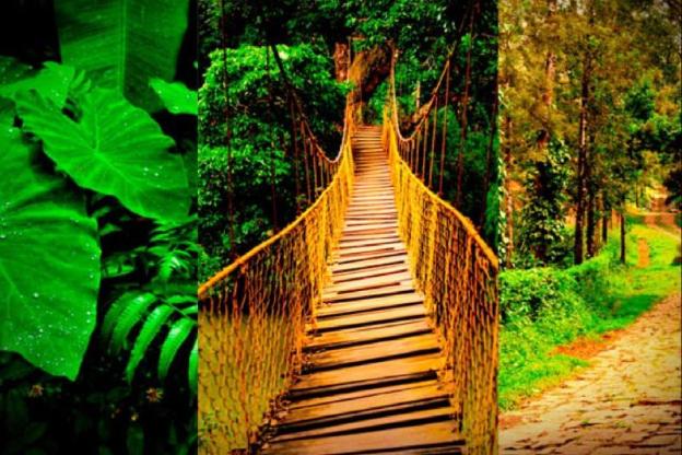 coorg
