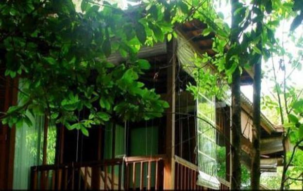 coorg