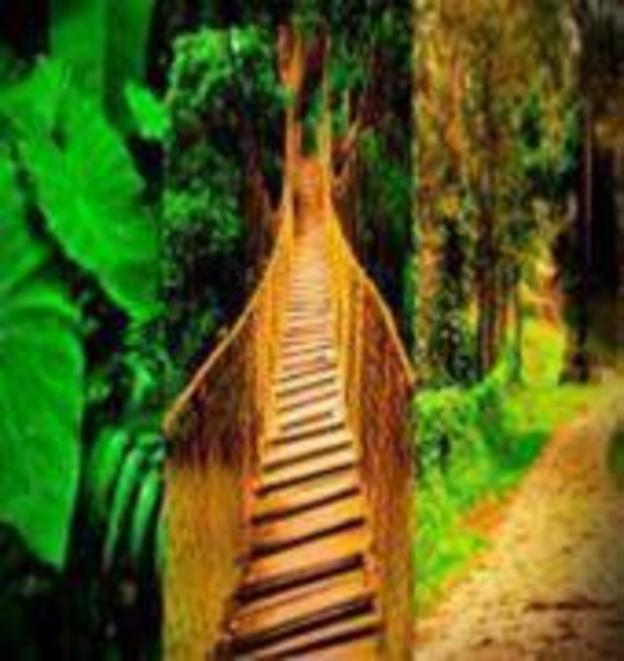 coorg