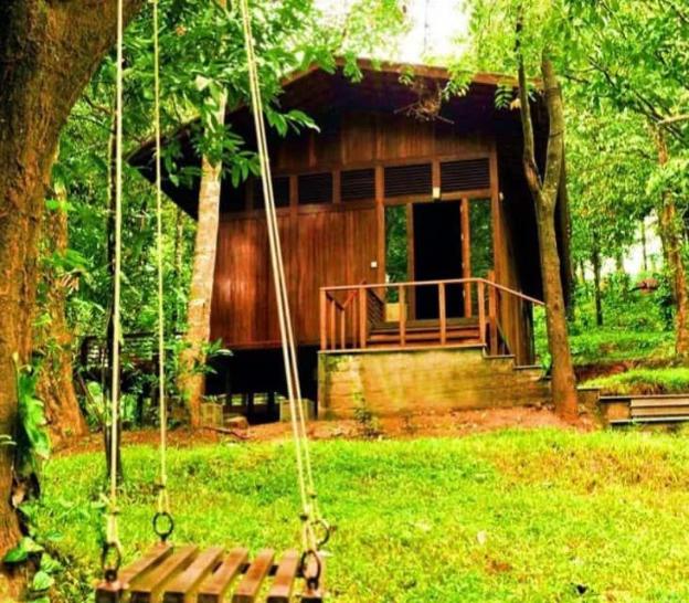 coorg