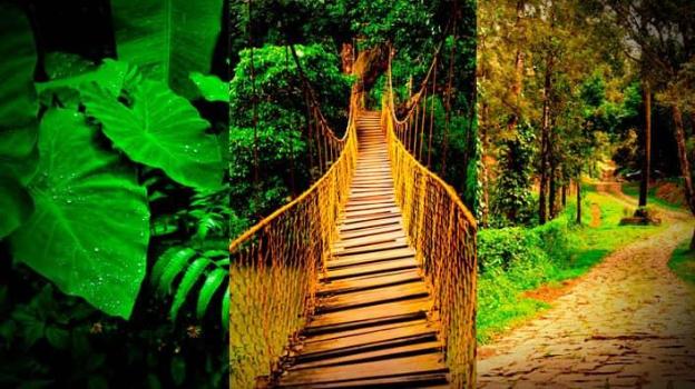 coorg