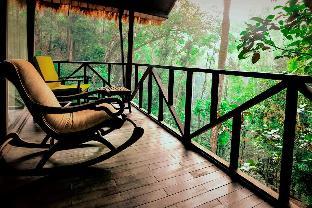 coorg