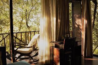 coorg