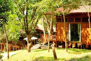coorg