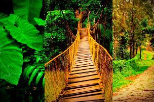 coorg