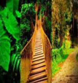 coorg