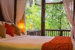 coorg