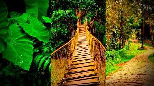 coorg