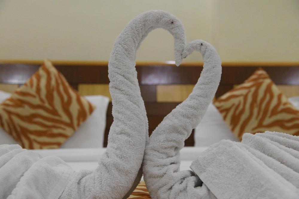 hotel vinayak palace