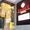 hotel tridev