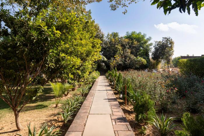 abhyaran resort ranthambore