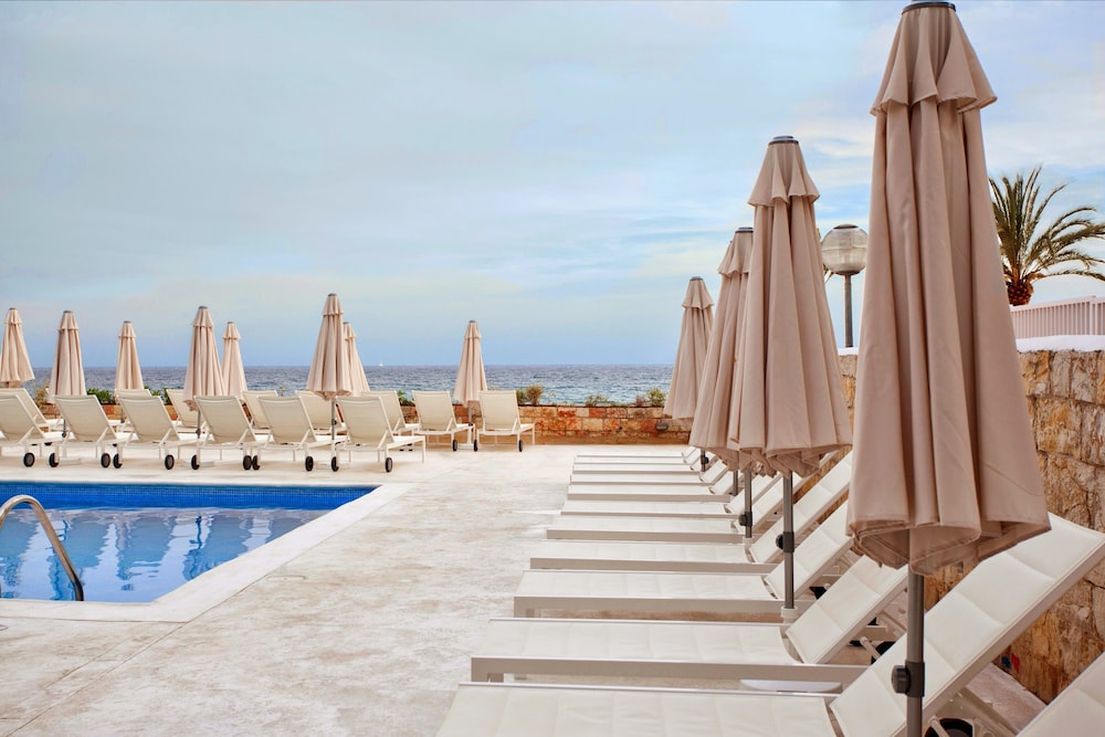 be live adults only marivent