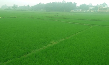 uthamapalayam