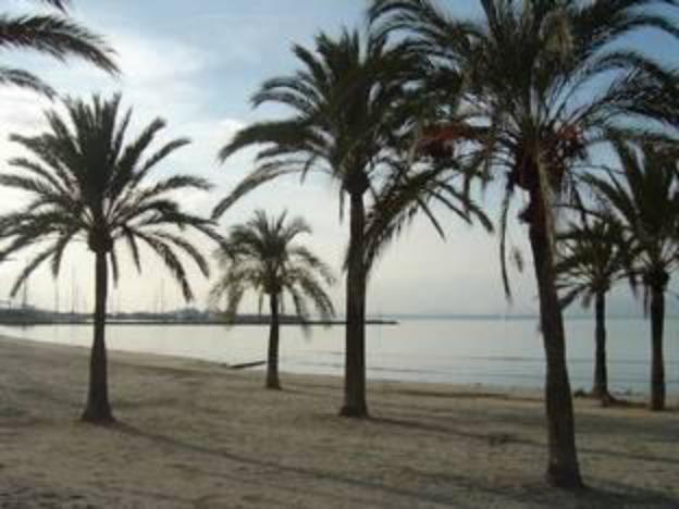 bluesea mediodia