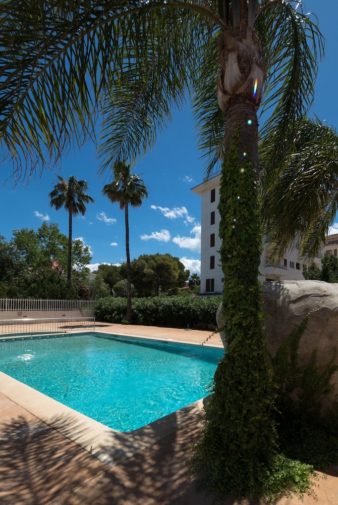 apartamentos olive beach