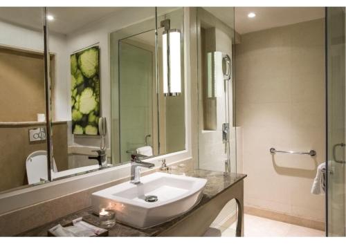 singhania sarovar portico