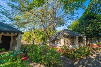 camp serai tiger tadoba