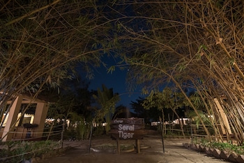 camp serai tiger tadoba