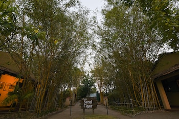camp serai tiger tadoba