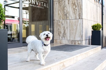 bonvital wellness and gastro hotel heviz adults only