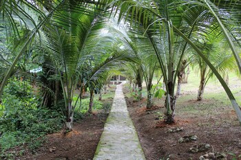 hotel y termas jilamito