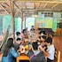 hostal oasis the traveler hostel