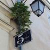 le lude