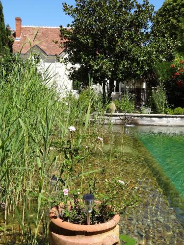 le jardin de canaan