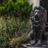 black lion hotel richmond