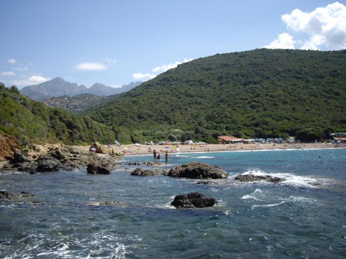 partinello