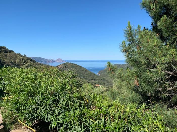 partinello