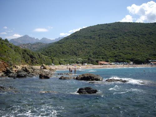 partinello