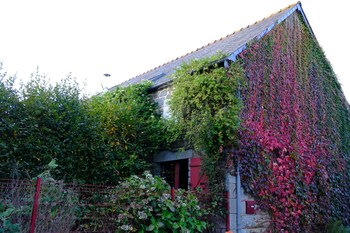 la maison jaune a la janaie