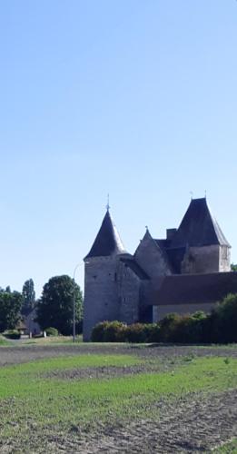 chateau de chemery