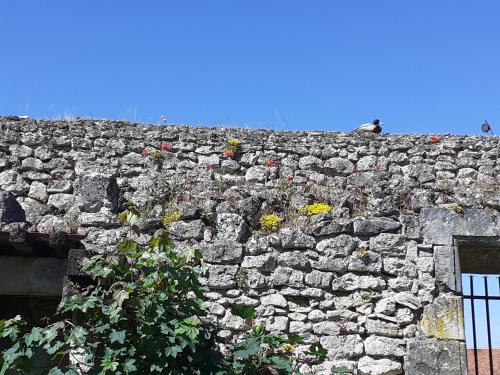 chateau de chemery