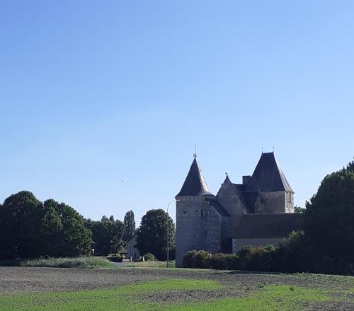 chateau de chemery