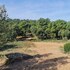 la villa louancelie