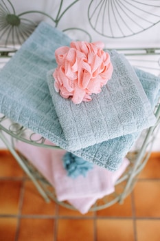 la villa des violettes