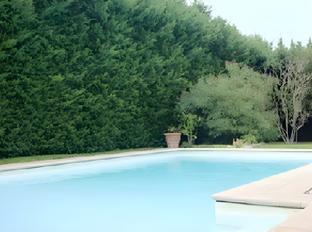 la villa des violettes
