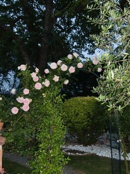 La Villa Des Violettes,Toulouse>>Fonbeauzard,1 star