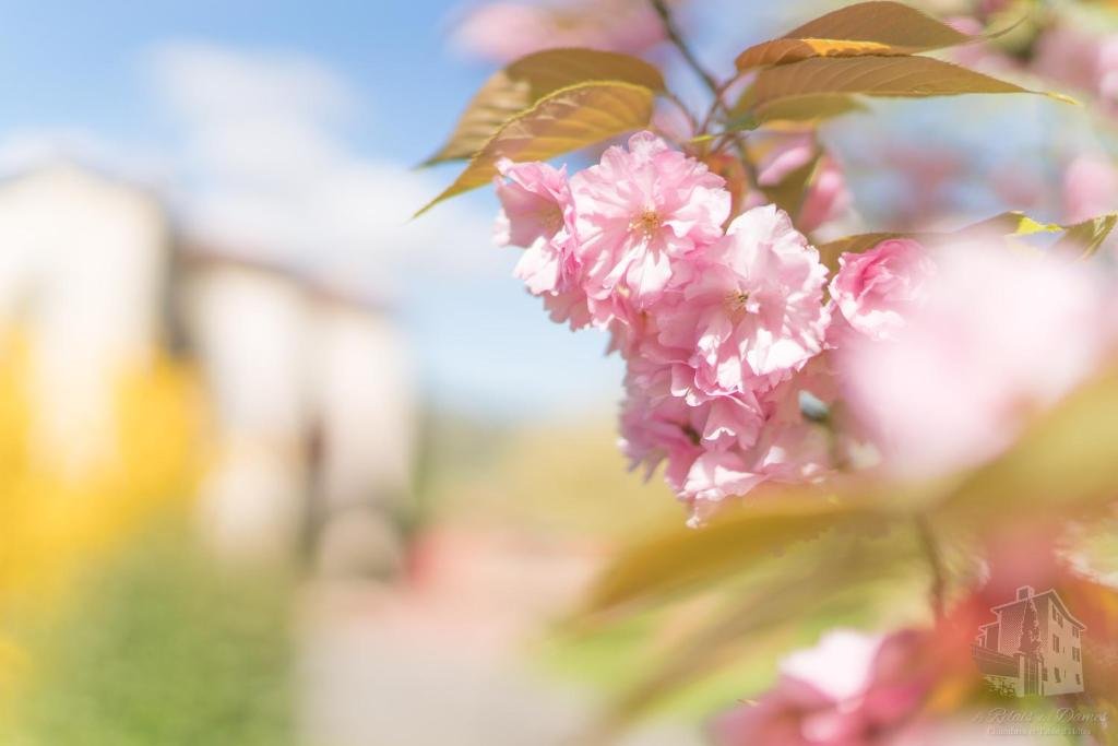 Le Relais Des Dames,Couzon-Au-Mont-D'or>>Albigny-Sur-Saone,3 star